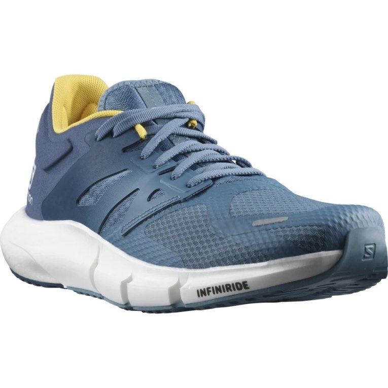 Blue Salomon Predict 2 Men's Running Shoes | PH 05267H